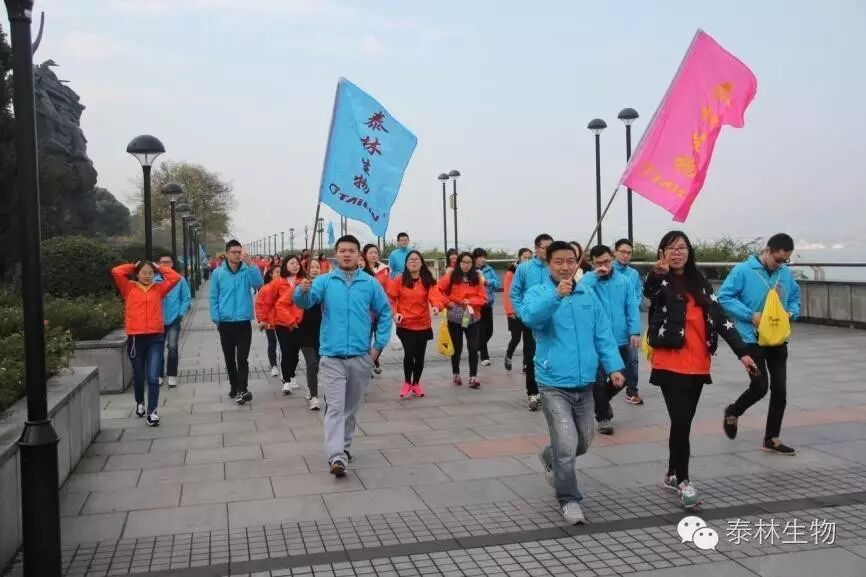 1768961738525710rQ9d.jpg 3.jpg